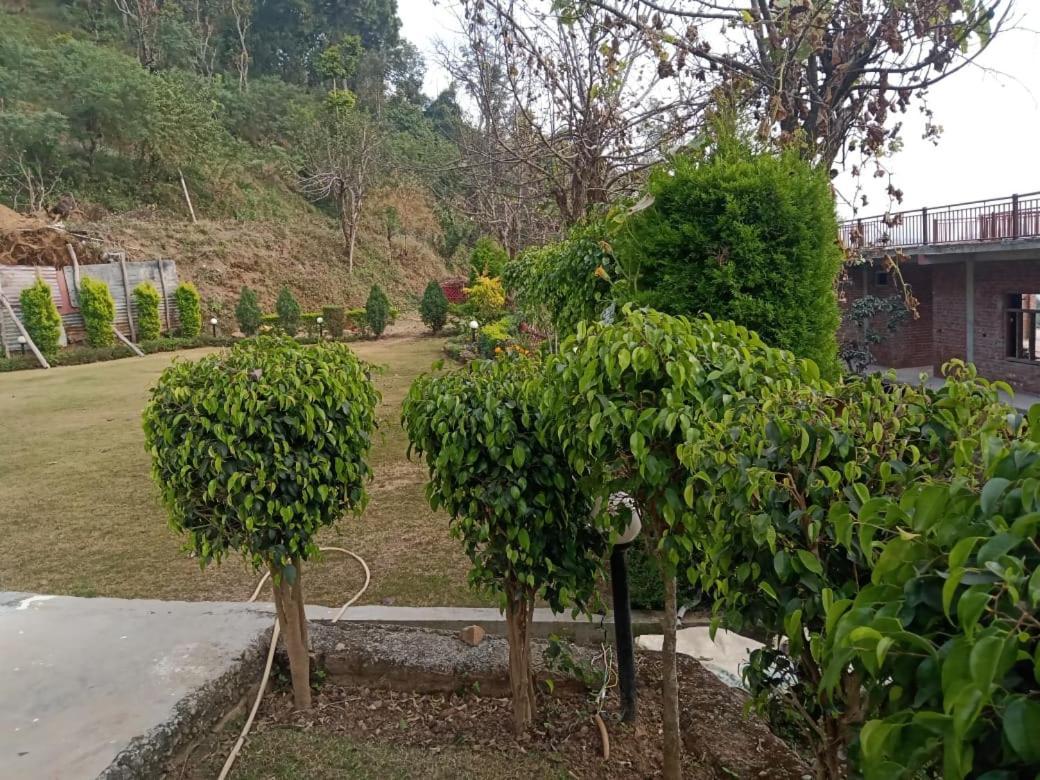 Shiva Solace By Tofoh Nainital Ngoại thất bức ảnh